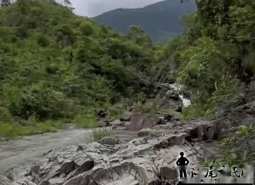 网友爆料莲花山事件视频,网友爆料视频揭示惊人真相 第1张 网友爆料莲花山事件视频,网友爆料视频揭示惊人真相 第1张